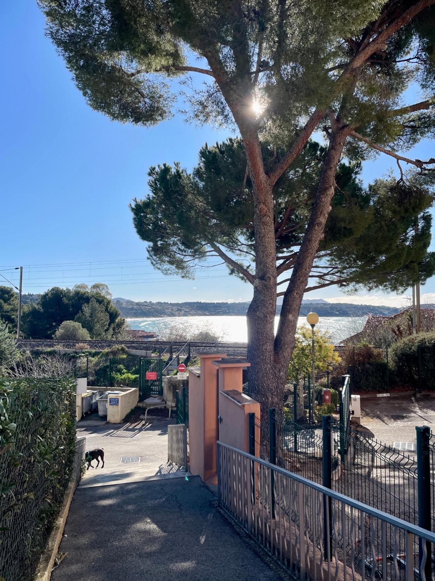 Proche De La Plage, A 12 Min A Pied Du Port, Place De Parking Apartment Bandol